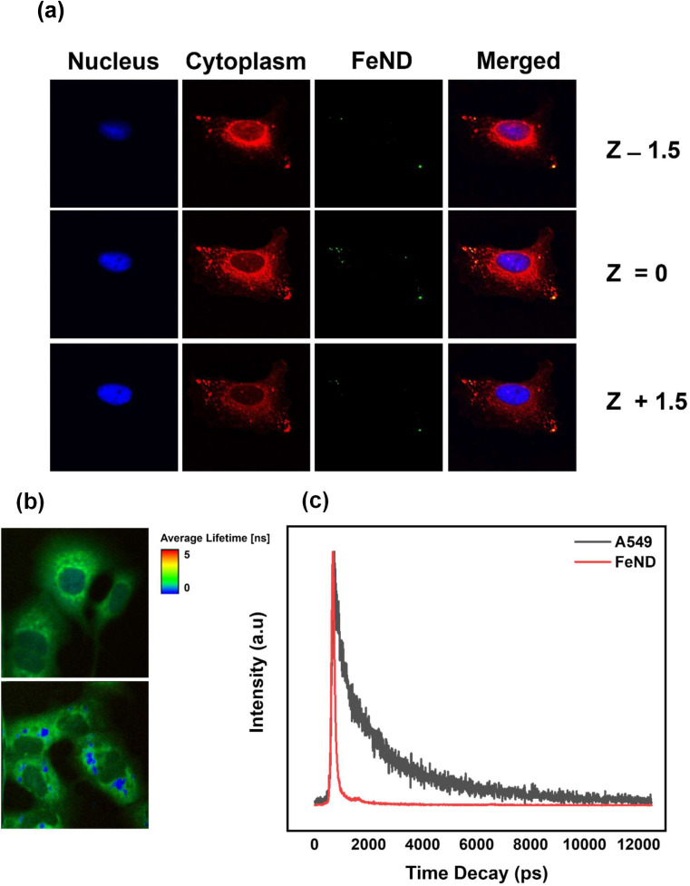 Fig. 3