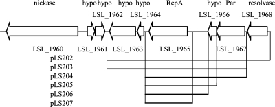 FIG. 6.