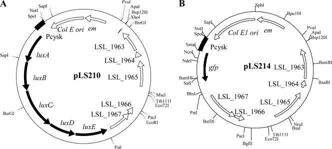 FIG. 9.