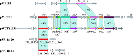 FIG. 11.