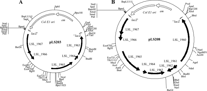 FIG. 7.