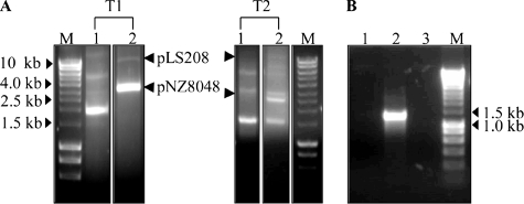 FIG. 8.