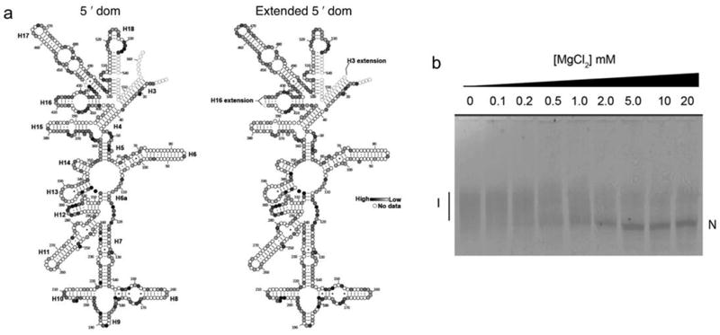 Extended Data Figure 1