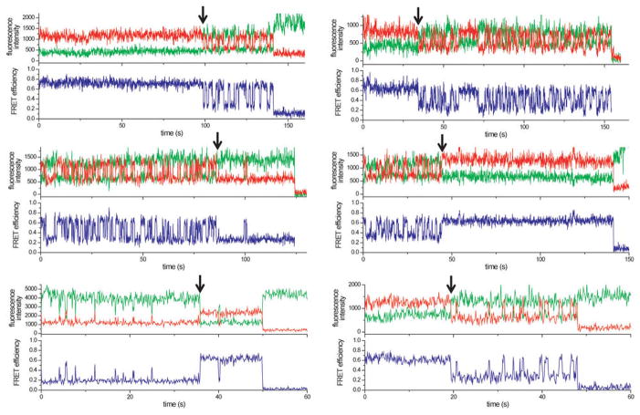 Extended Data Figure 9