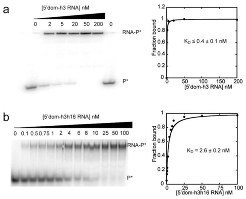 Extended Data Figure 2