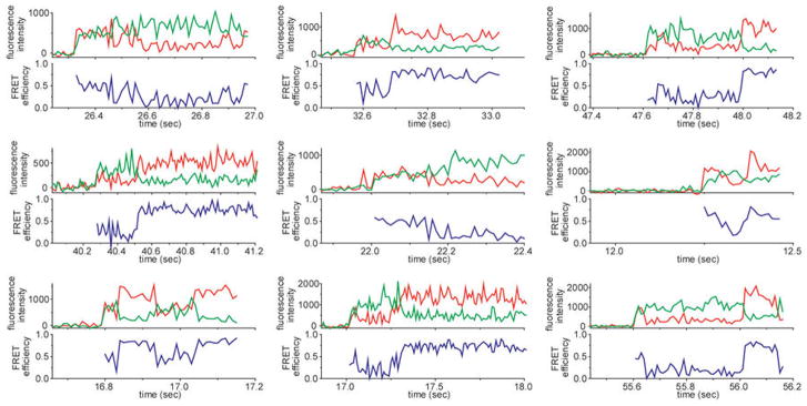 Extended Data Figure 7