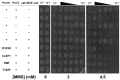Fig 5