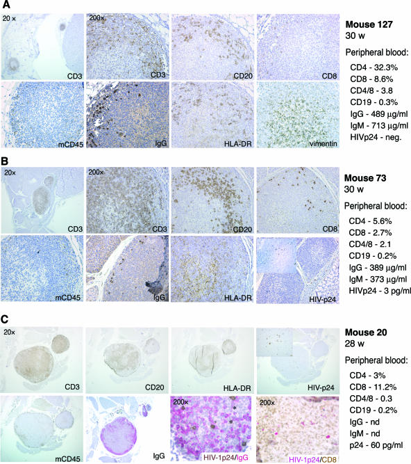 FIG. 6.