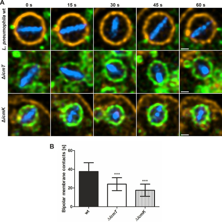 FIG 3