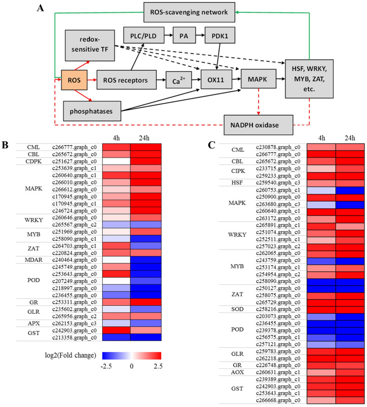 Fig 6