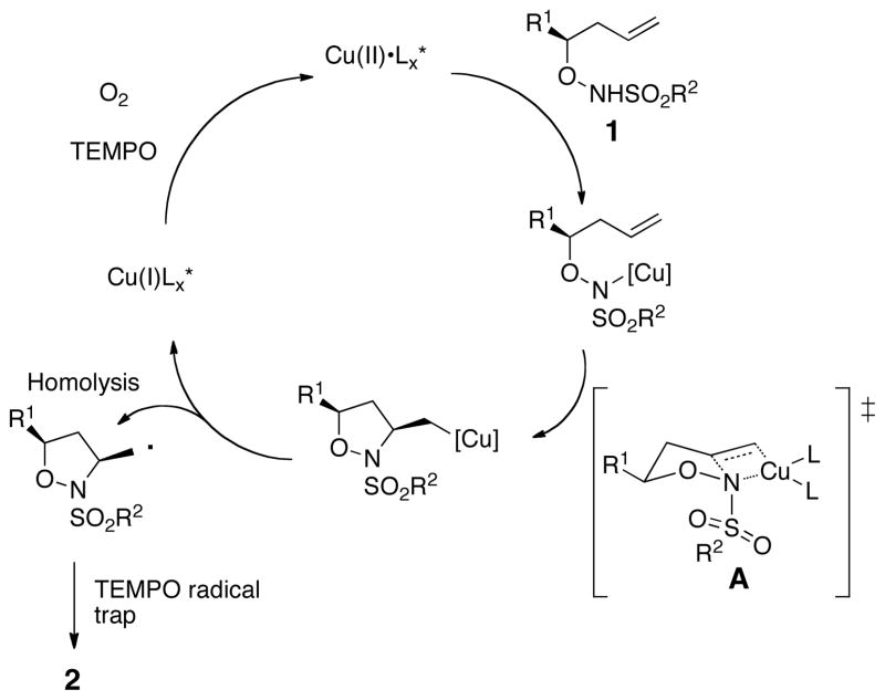 Scheme 2