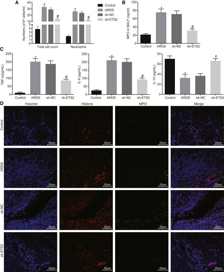 Figure 2