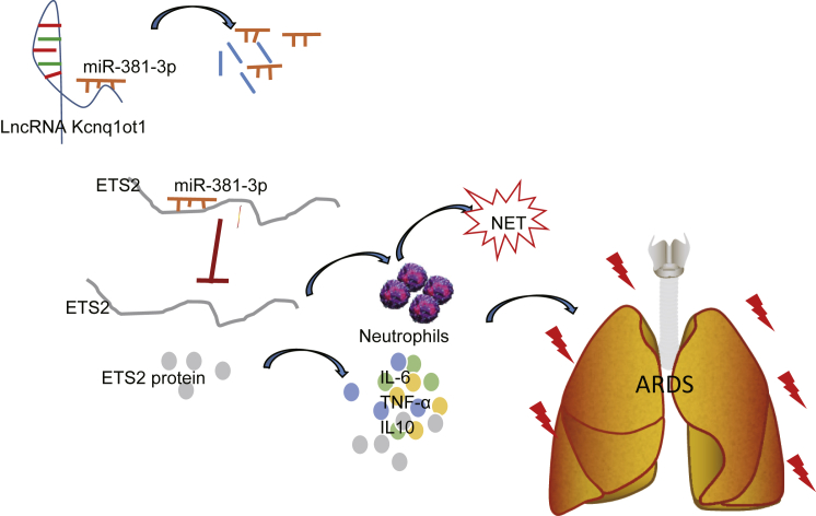 Figure 6