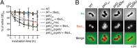 FIG 4