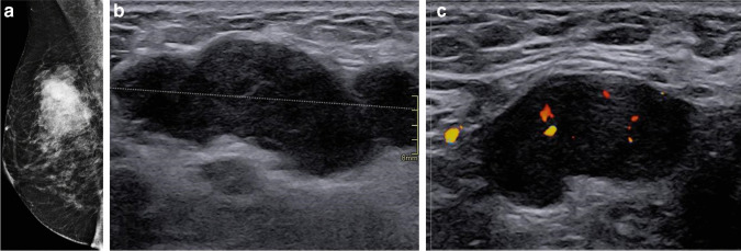 Fig. 5