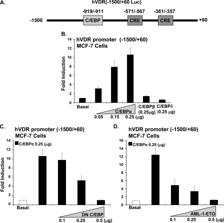 FIGURE 2.