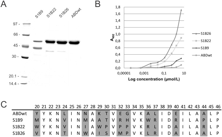 Fig 3