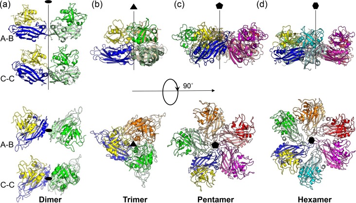 FIG 3