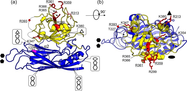 FIG 4