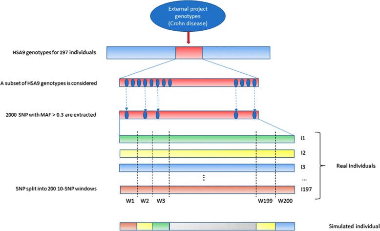 Fig. 1