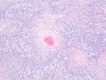 Figure 24