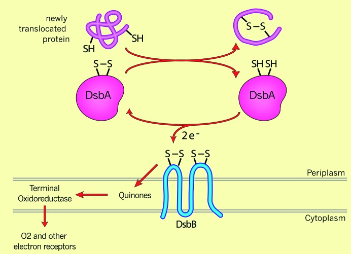 Figure 2.—