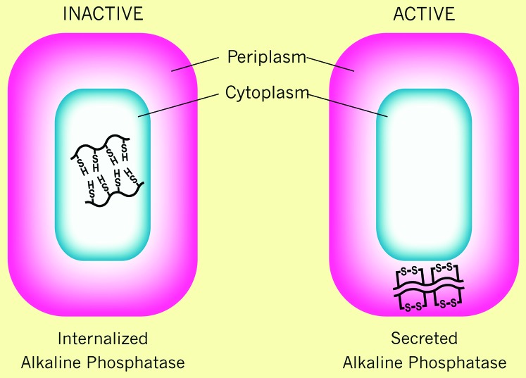 Figure 1.—