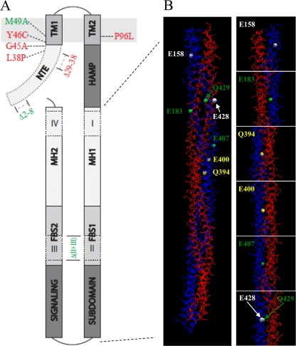 FIG. 6.