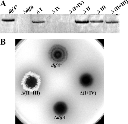 FIG. 4.