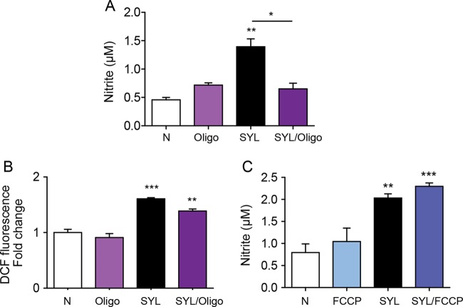 FIG 8