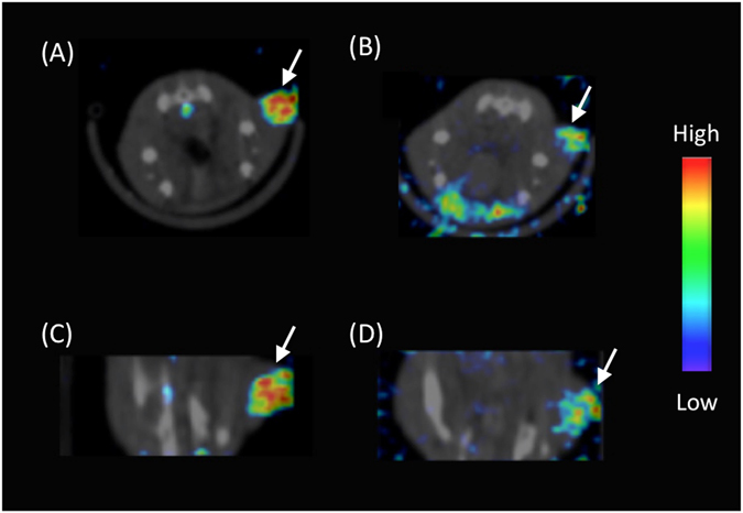 Figure 14