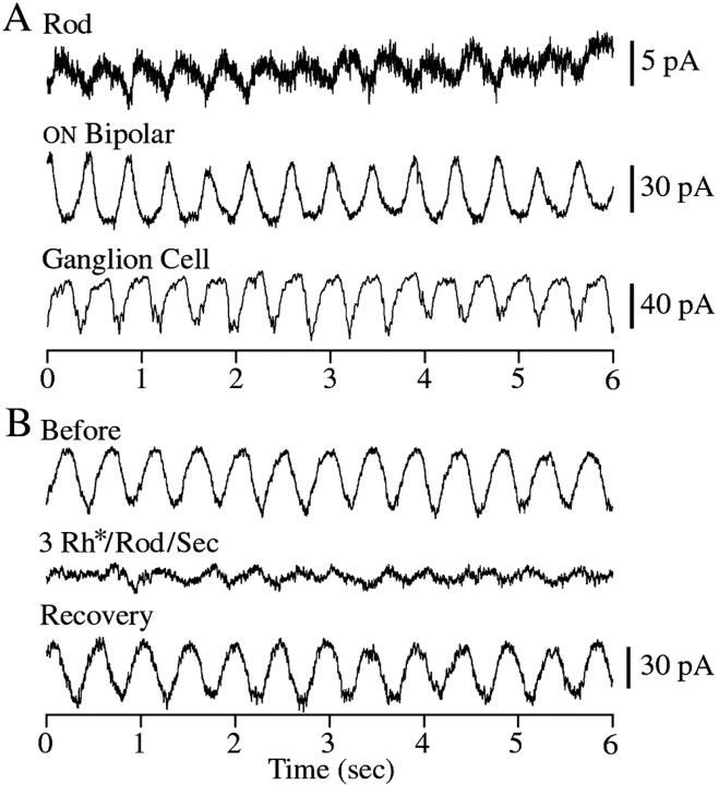 Fig. 8.