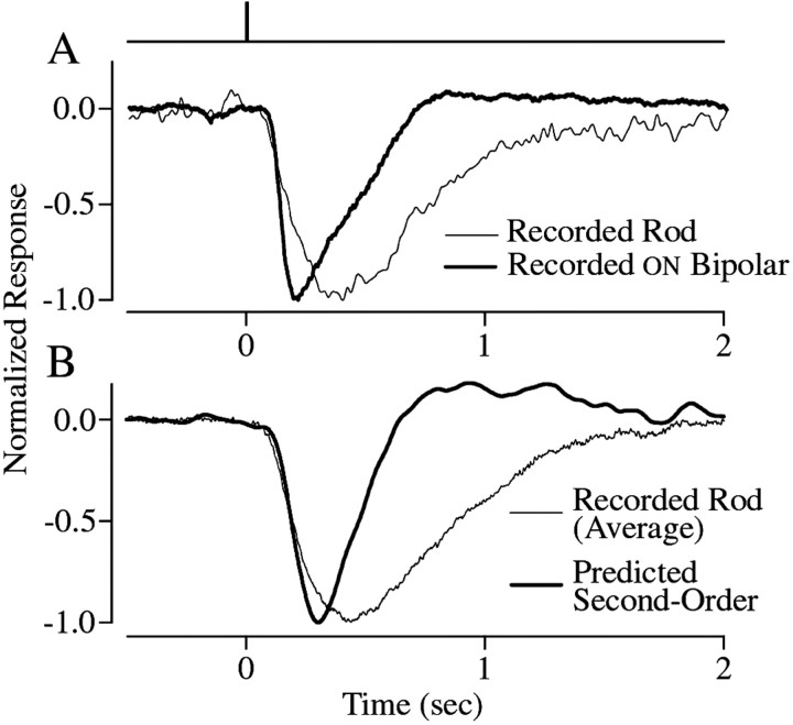 Fig. 9.