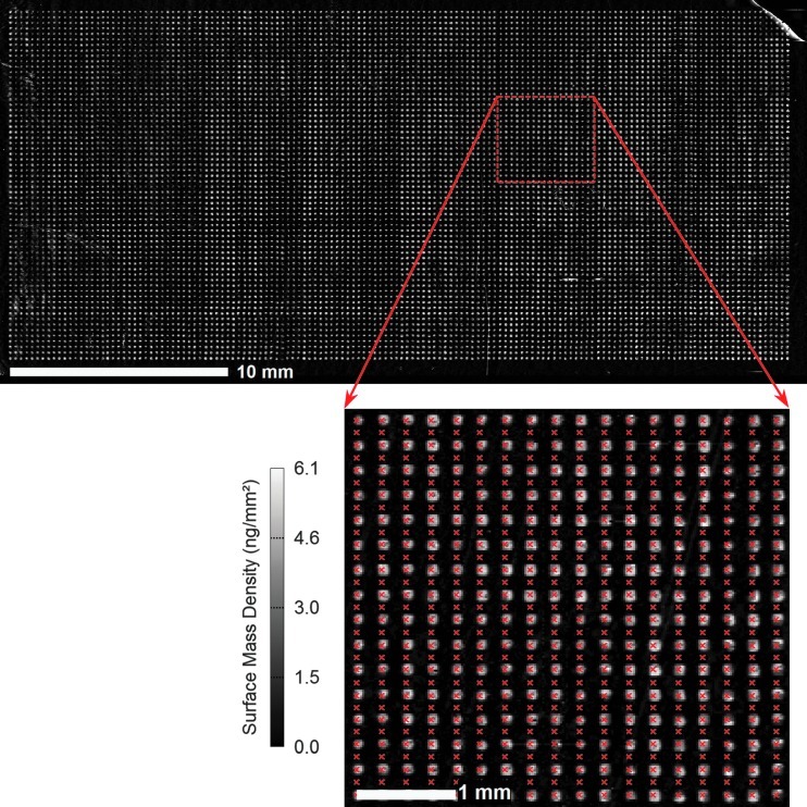 Fig. 3.