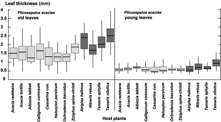 Figure 3.