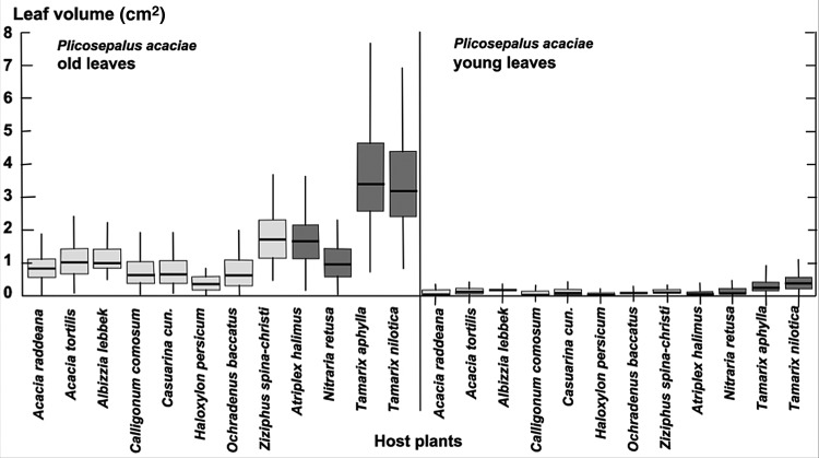 Figure 4.