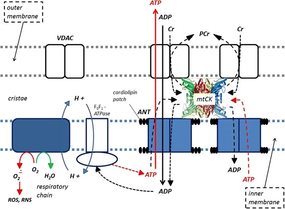 Fig. 3