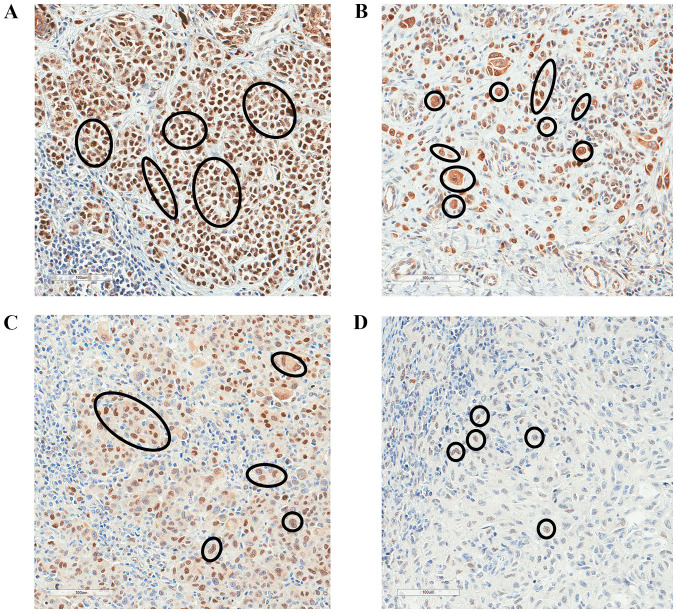 Figure 5.