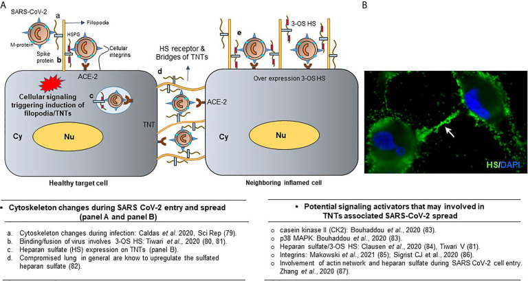 Figure 6