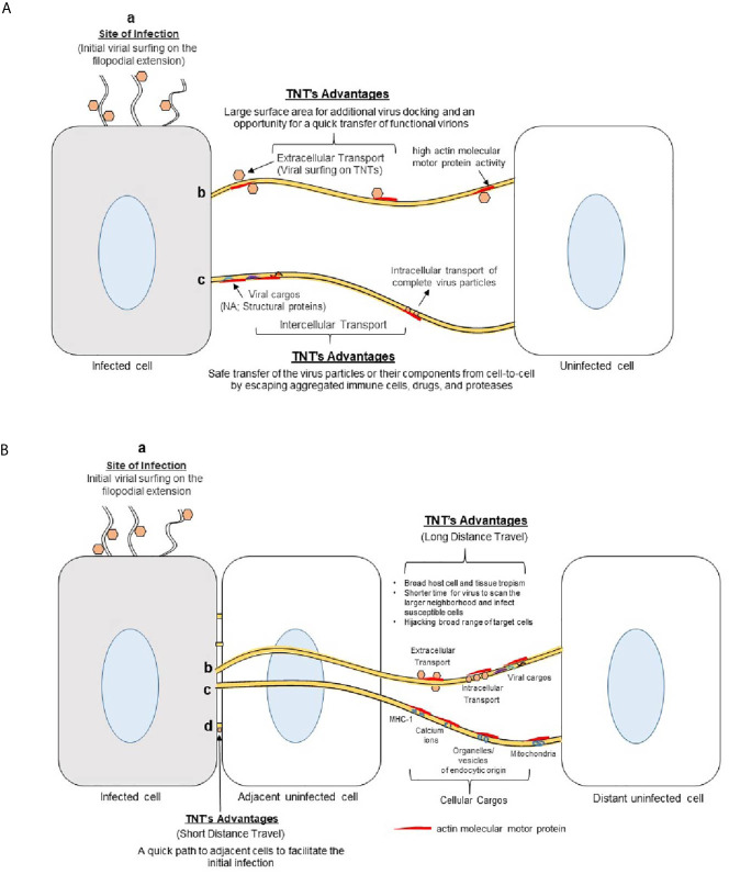 Figure 4