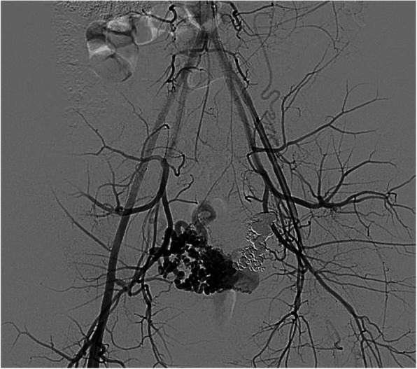 Fig. 8
