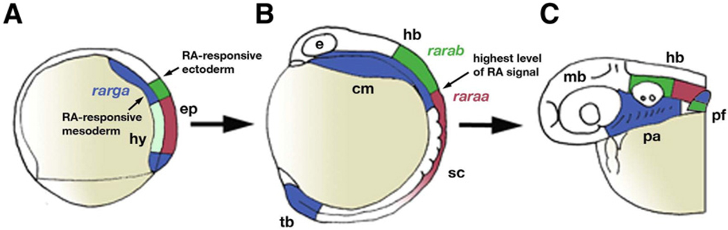 Fig. 9