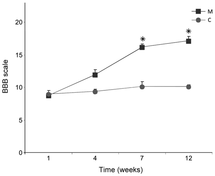 Figure 14.