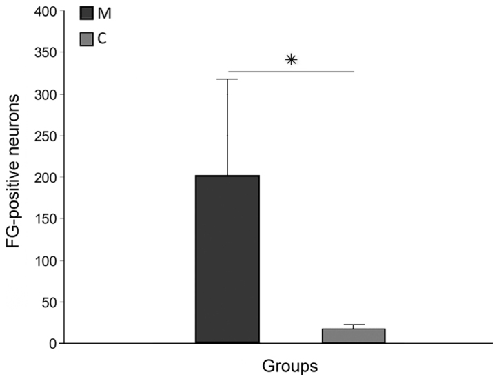 Figure 5.