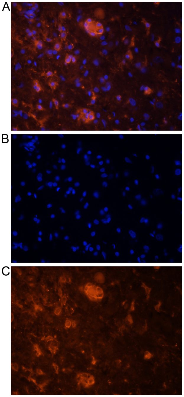 Figure 2.