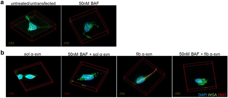 Fig. 4