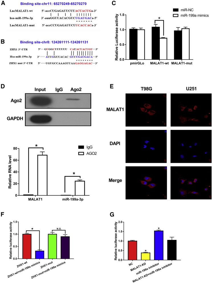 Figure 6