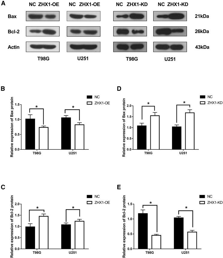 Figure 2