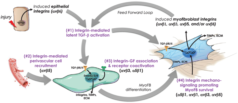 Fig 1.