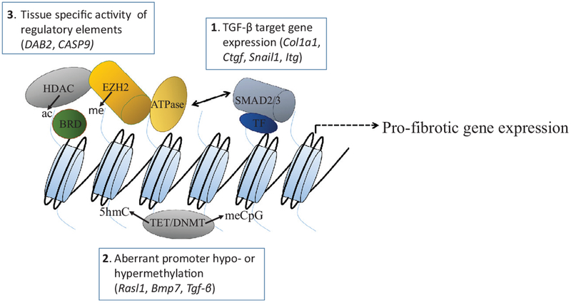 Fig 2.